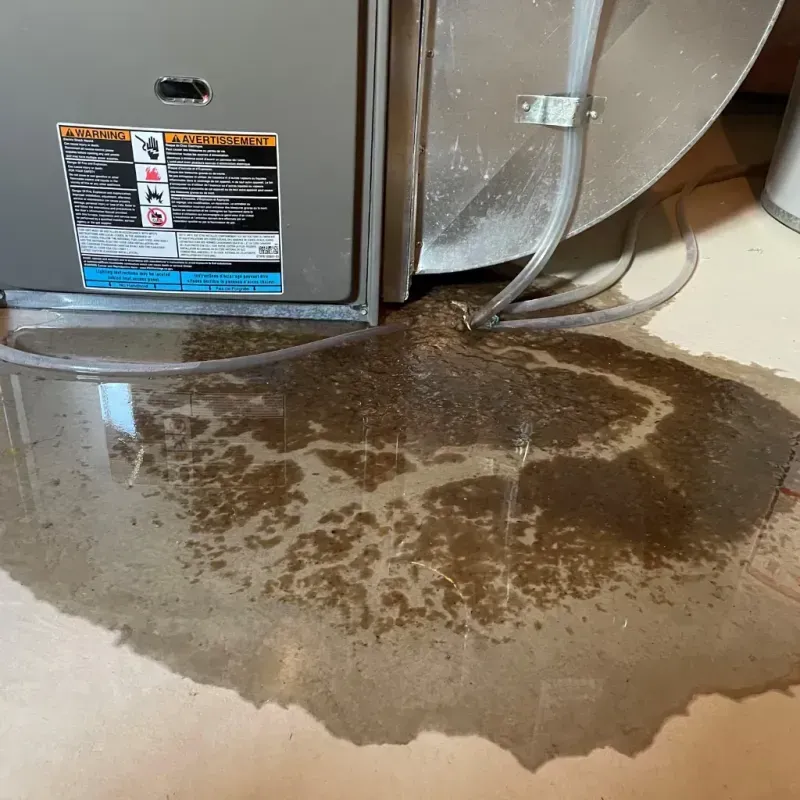 Appliance Leak Cleanup in Diamond, IL